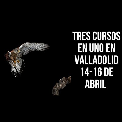 Tres cursos en uno en Valladolid 14-16 de abril