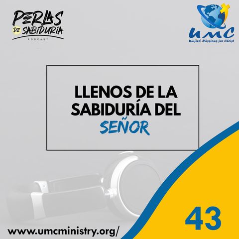 43 Llenos De La Sabiduria Del Señor