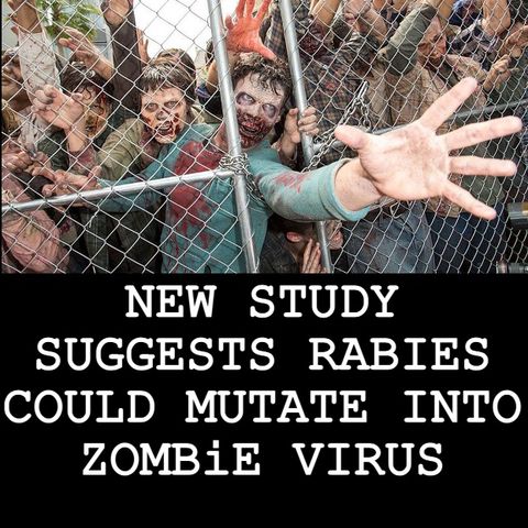 #BonusBite “NEW STUDY SUGGESTS RABIES COULD MUTATE INTO ZOMBiE VIRUS”  #WeirdDarkness