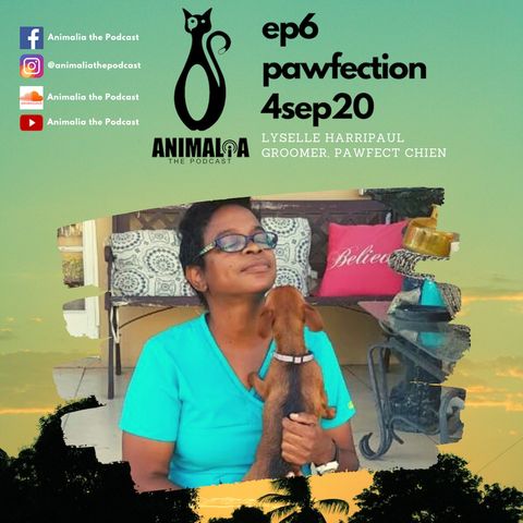 ANIMALIA 06 - Pawfection - 4Sep20