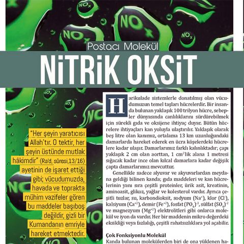 Postacı Molekül Nitrik Oksit - Nisan 2018