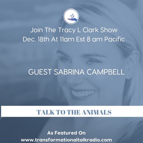 The Tracy L Clark Show: Live Your Extraordinary Life Radio: ARE YOUR READY TO TALK TO YOUR ANIMALS
