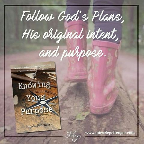 Follow God's Plans, Intent & Purpose