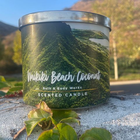 SUMMER SCENTS