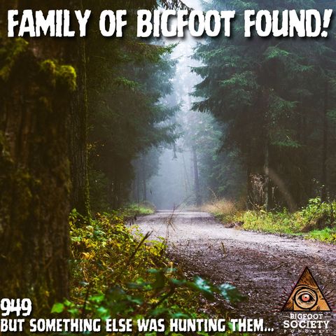 Family of Bigfoot Found in Oregon: A Paranormal Investigator’s True Encounter