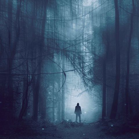 DEJA DE SEGUIRME POR FAVOR | EXPERIENCIAS CONTADAS POR UN GUARDABOSQUES