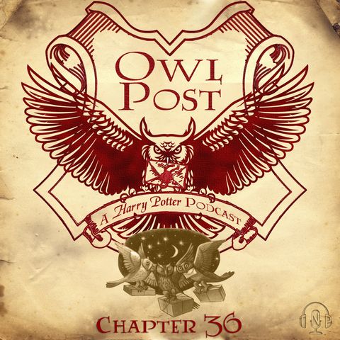 Chapter 036: Owl Post