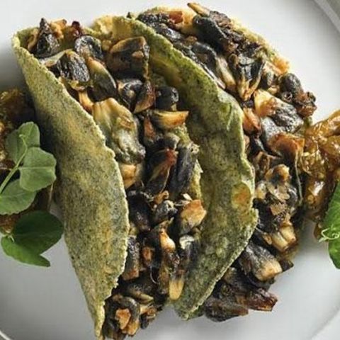 Conoce el Huitlacoche Gourmet y el Mercado más Grande del Mundo