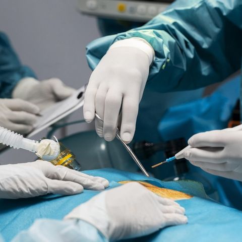 Serviço de Transplante de Medula Óssea do HUWC detém nível máximo
