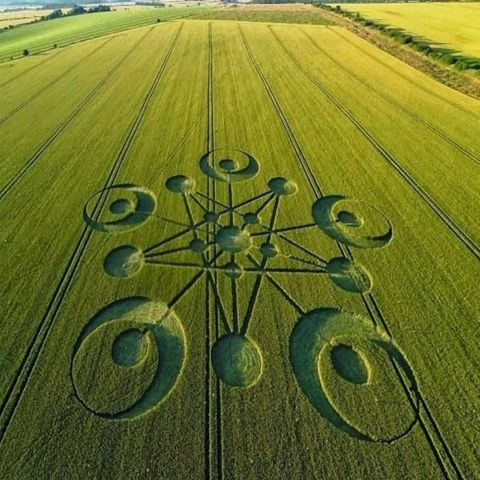 Alien abductions, hybrids and crop circles, An interview with Barbara Lamb.