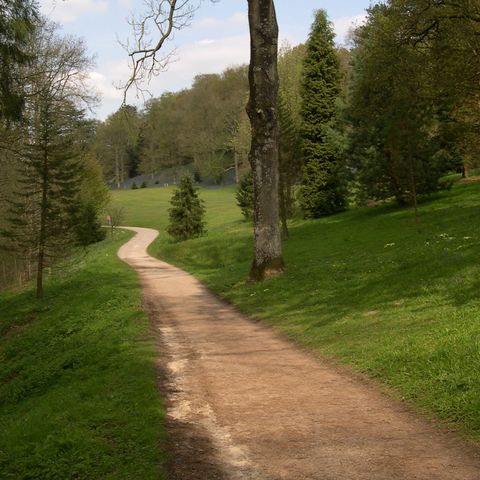 Cantar i fer camí