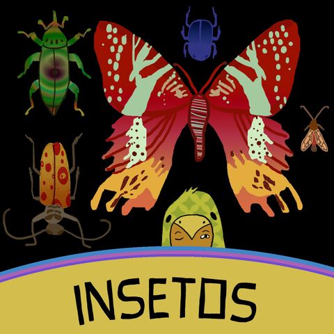 INSETOS