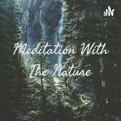 "Echoes of the Jungle: A Stress Relief Nature Sounds Podcast"