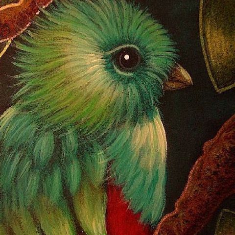 Quetzal, Pájaro Sagrado... Relato Mixteco