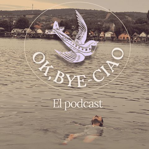 Ok bye ciao episodio 1 - Observación