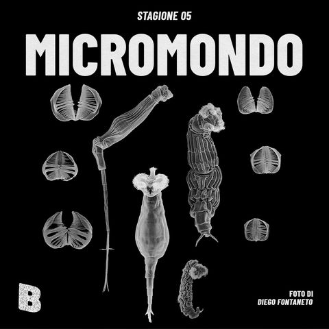 Ep 43 • Micromondo