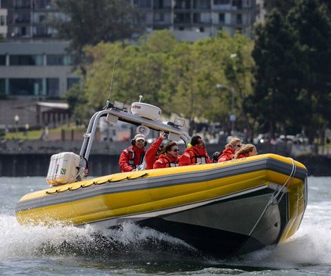 San Francisco Bay Boat Tours - Bay Voyager