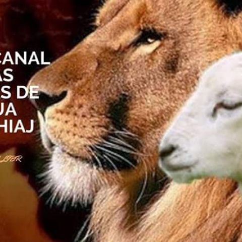 Episodio 22 - RADIO CANAL TRAS LAS HUELLAS DE YAHSHUA