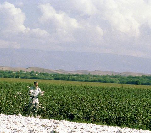 L'Asia centrale continuerà a sperimentare a lungo la siccità agricola