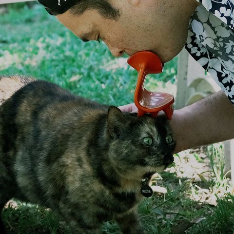 Duryan finally licks a cat