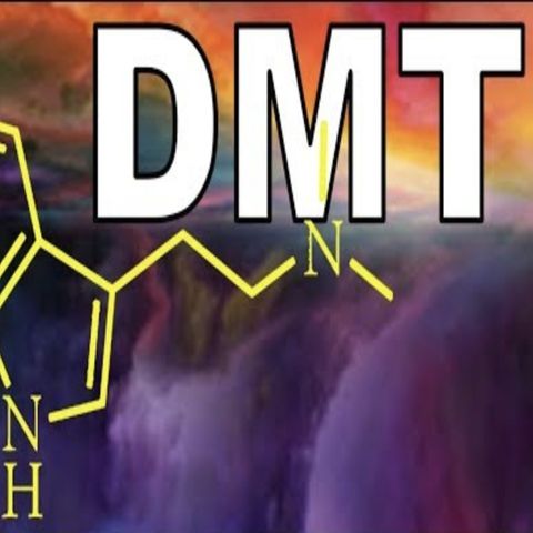 NEUROSCIENTIST on DMT-AYAHUASCA trip in ALTERNATE DIMENSION may be going INSANE