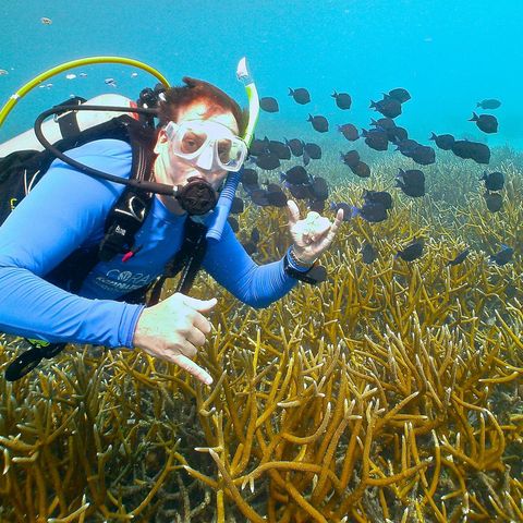 Vital Signs Podcast #2: Tripp Funderburk-Roatan Reef Restoration