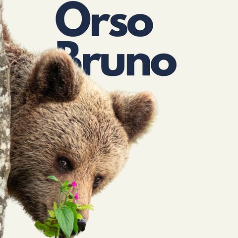 153 - Fuori Traccia: Orso bruno