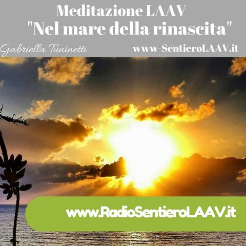 Riflessioni e MeditazioneLAAV® " Nel mare della rinascita"