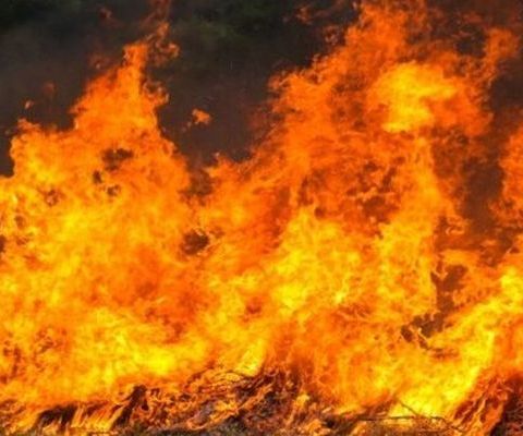 Brucia la Sicilia Schifani: “in arrivo vigili del fuoco da altre regioni”. Riapre a singhiozzo l’aeroporto di Palermo