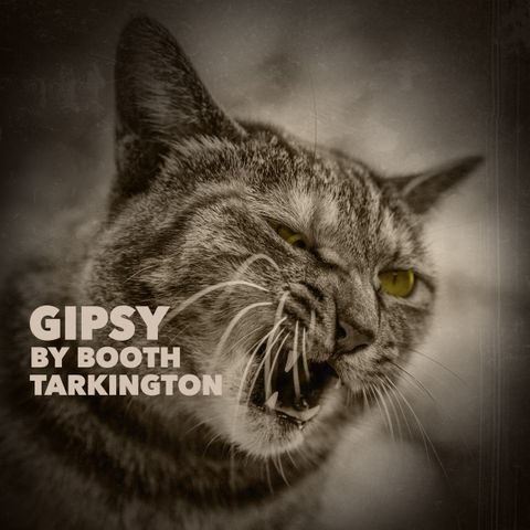 Gipsy by Booth Tarkington
