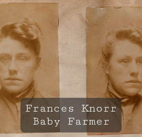 Frances Knorr