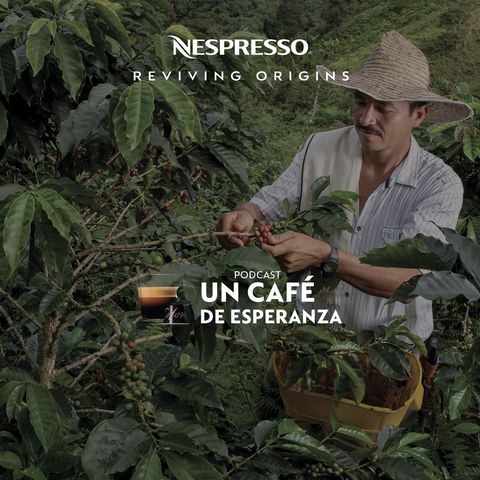 Colombia redescubre el Caquetá cafetero