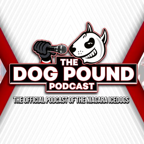 Another Week Bites The Dogs - Dog Pound Podcast