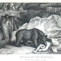 The Bear And The Two Travelers