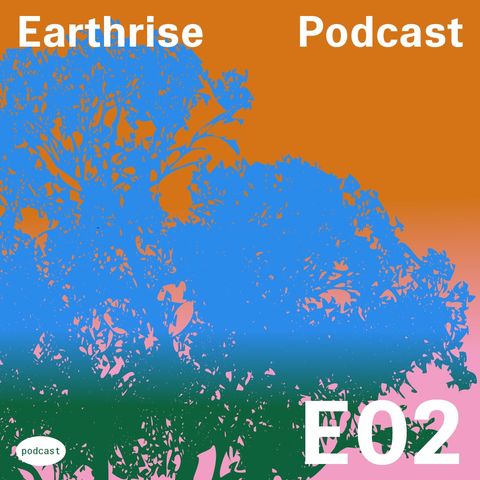 #2 Earthrise