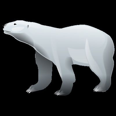 Polar Bears by Francisco nunez