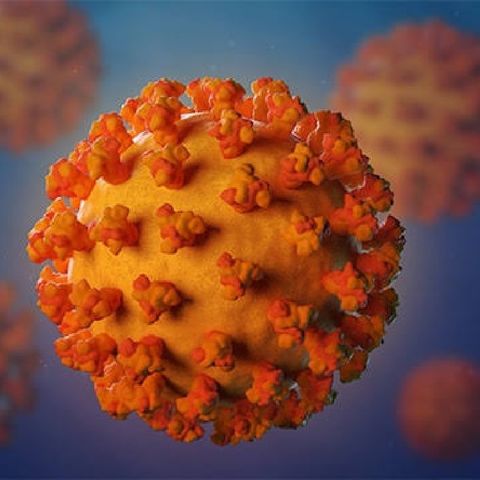 ¿Que Es El Coronavirus?