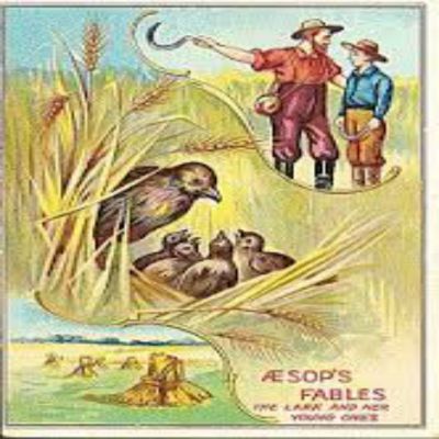Folktales For Grown Folks- The Lark & Her Young Ones
