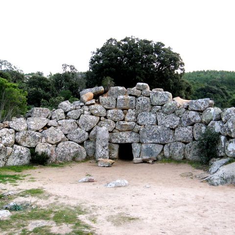 La carezza del gigante