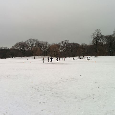 Prospect Park, pulmón de Brooklyn