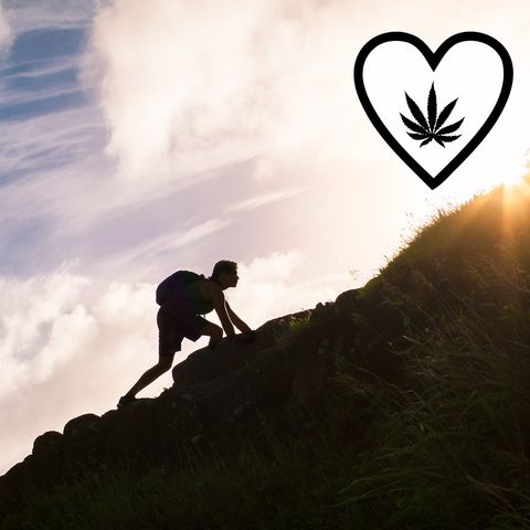 Cannabis e cancro: una battaglia di amore e speranza