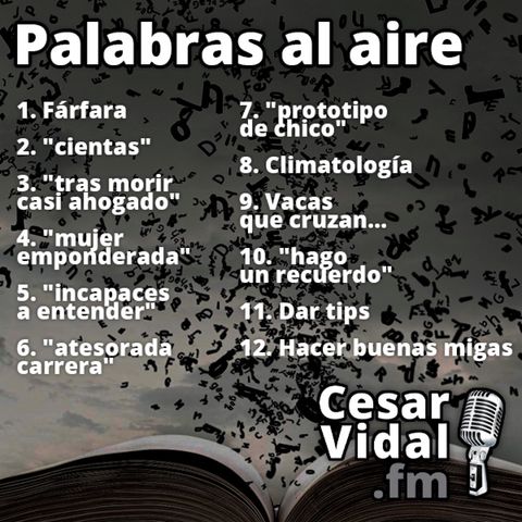 Palabras al aire - 16/07/24