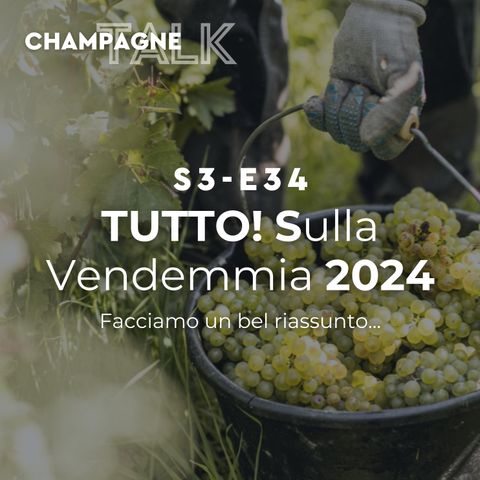 S3 E34 - Tutto sulla Vendemmia 2024!