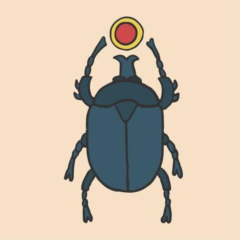 Las edades del escarabajo