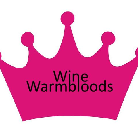 What's A Warmblood Anyway?