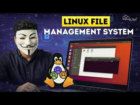 Linux File Management Commands | Copy, Move & Delete Explained