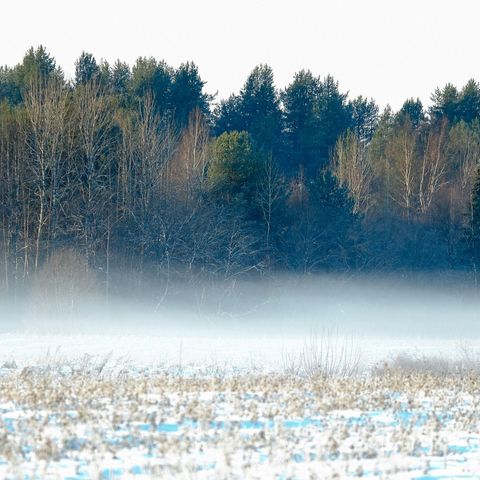 El Tiempo: El lunes arrancará con un descenso generalizado de las temperaturas