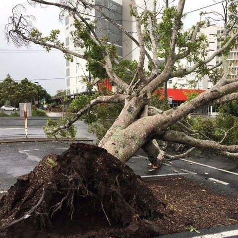 Cyclone Debbie Update 2 with Katrina Murray