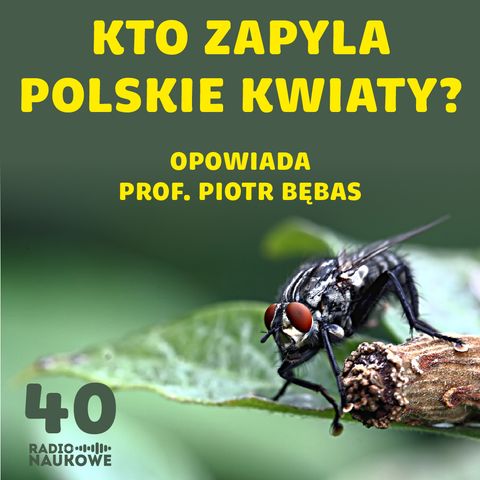 #40 Życie na ostro wśród sielskich kwiatów. Wiosenny podcast o zapylaczach | prof. Piotr Bębas