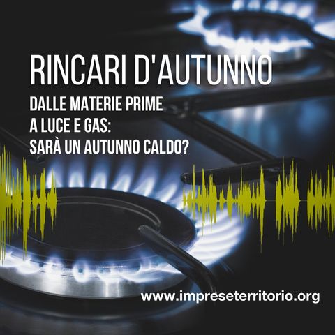 Rincari d'autunno. Dalle materie prime a luce e gas, sarà un autunno caldo?/2